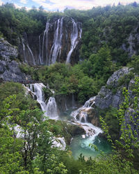 Scenic view of waterfall in forest