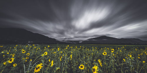 Scenic view of field against cloudy sky