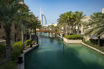 Palm trees by swimming pool in canal against building