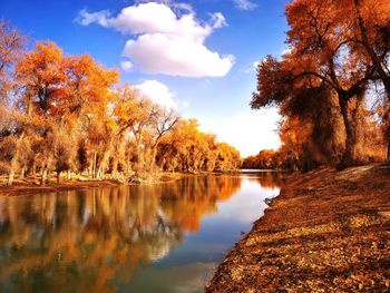 Scenic view of lake against sky during autumn