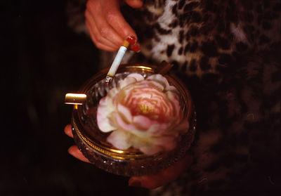 Close-up of hand holding crab