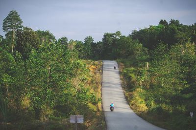 Rear view of people walking on road amidst trees against sky