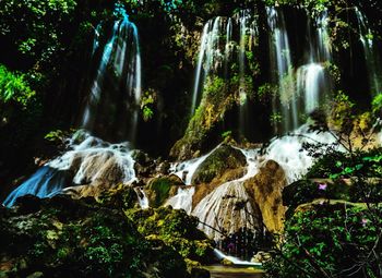 Scenic view of waterfall in forest