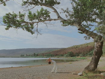 Scenic view of land against sky