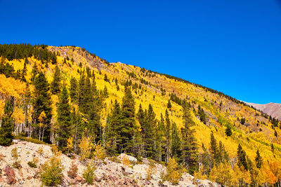 Scenic view of mountains against clear blue sky