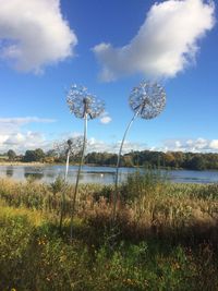 Scenic view of plants against sky