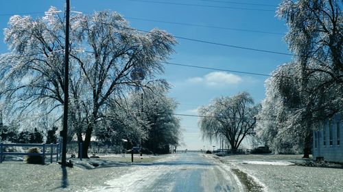 Road amidst trees against sky