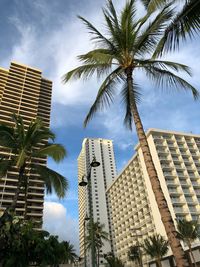Low angle view of palm trees and buildings against sky