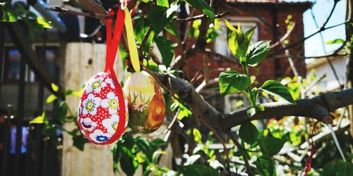 Close-up of easter decorations hanging on tree