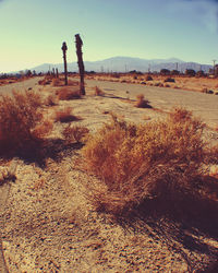 Scenic view of desert against clear sky