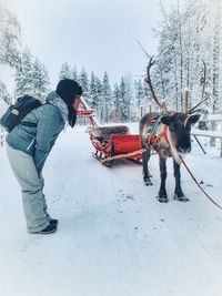 Full length side view of woman looking at reindeer while standing on snow covered land during winter