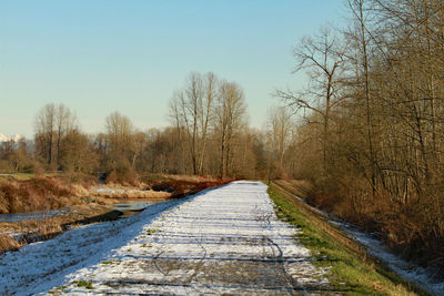 Road amidst bare trees against clear sky