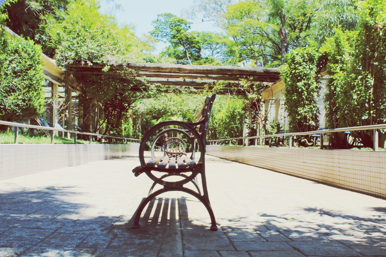 EMPTY BENCH IN PARK AGAINST TREES IN BACKGROUND