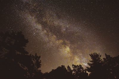 Low angle view of trees against star field