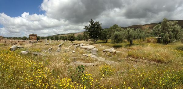 Panoramic view of landscape against sky