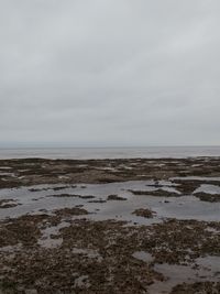 Scenic view of sea against sky during winter