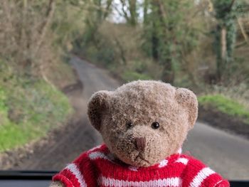 Close-up of teddy bear