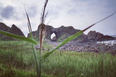 Scenic view of land against sky