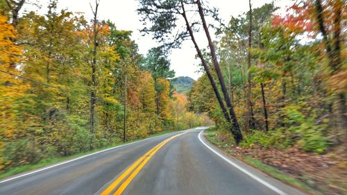 Road amidst trees in forest during autumn