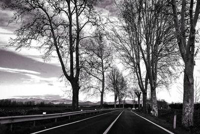 Empty road along bare trees