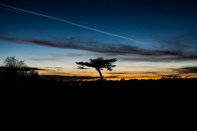 Silhouette trees on landscape against blue sky