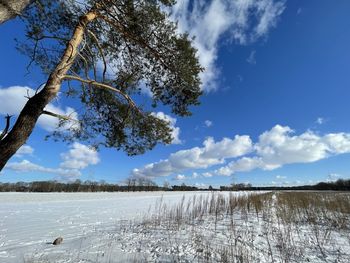 Scenic view of snow covered field against sky