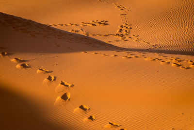 High angle view of sand dune in desert against sky