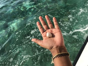 Cropped hand of woman holding shell over sea