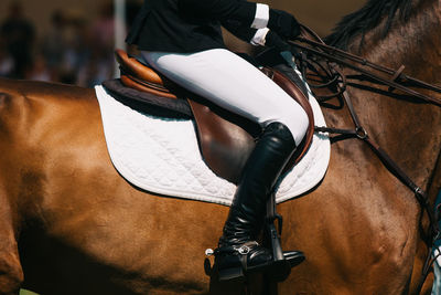 Horse jumping, equestrian sports themed photo.