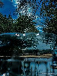 Reflection of trees in lake against sky