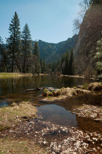 Scenic view of lake by trees against sky