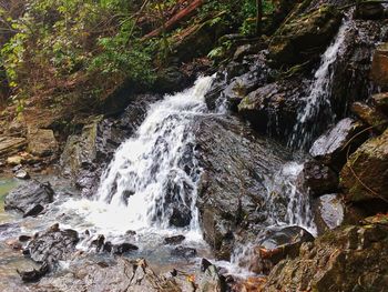 View of waterfall in forest