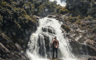 Rear view of waterfall in forest