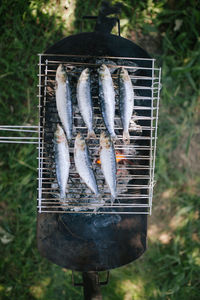 High angle view of fish on barbecue grill