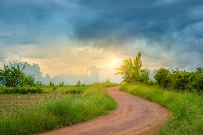 Road amidst field against sky