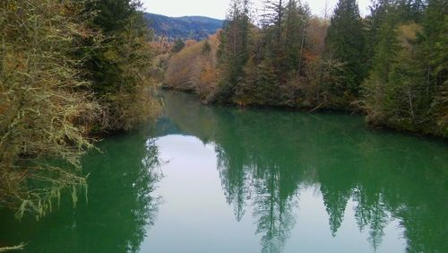 Scenic view of lake in forest