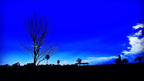 Silhouette bare trees against clear sky