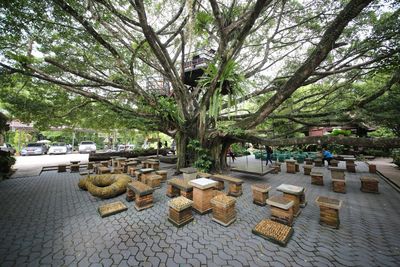 View of trees in city