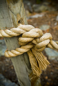 Close-up of rope tied on wooden post