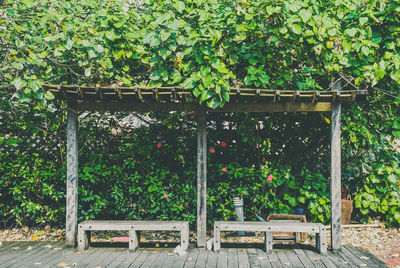 Bench by plants in garden