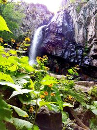 Scenic view of waterfall