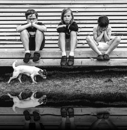 Three boys sitting near water and thinking,, the dog running around