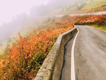 Scenic view of mountain road during autumn