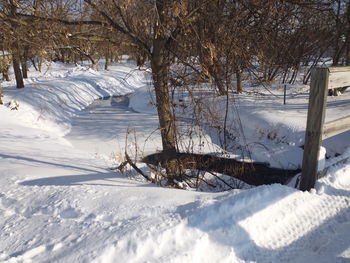 Bare trees on snow field during winter