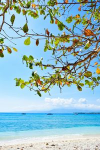 Scenic view of sea against blue sky