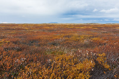 View of landscape against cloudy sky