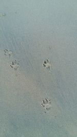 High angle view of footprints on sand at beach