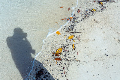 Shadow of person on sand