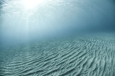 Underwater scene, with sandy bottom and sunlight