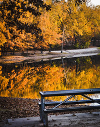 Scenic view of lake in forest during autumn